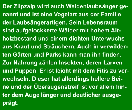 Der Zilpzalp wird auch Weidenlaubsänger ge- nannt und ist eine Vogelart aus der Familie  der Laubsängerartigen. Sein Lebensraum  sind aufgelockkerte Wälder mit hohem Alt- holzbestand und einem dichten Unterwuchs  aus Kraut und Sträuchern. Auch in verwilder- ten Gärten und Parks kann man ihn finden.  Zur Nahrung zählen Insekten, deren Larven  und Puppen. Er ist leicht mit dem Fitis zu ver- wechseln. Dieser hat allerdings hellere Bei- ne und der Überaugenstreif ist vor allem hin- ter dem Auge länger und deutlicher ausge- prägt.