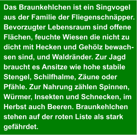 Das Braunkehlchen ist ein Singvogel  aus der Familie der Fliegenschnäpper.  Bevorzugter Lebensraum sind offene  Flächen, feuchte Wiesen die nicht zu  dicht mit Hecken und Gehölz bewach- sen sind, und Waldränder. Zur Jagd  braucht es Ansitze wie hohe stabile  Stengel, Schilfhalme, Zäune oder  Pfähle. Zur Nahrung zählen Spinnen,  Würmer, Insekten und Schnecken, im  Herbst auch Beeren. Braunkehlchen  stehen auf der roten Liste als stark  gefährdet.