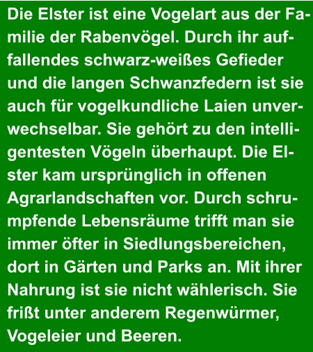 Die Elster ist eine Vogelart aus der Fa- milie der Rabenvögel. Durch ihr auf- fallendes schwarz-weißes Gefieder  und die langen Schwanzfedern ist sie  auch für vogelkundliche Laien unver- wechselbar. Sie gehört zu den intelli- gentesten Vögeln überhaupt. Die El- ster kam ursprünglich in offenen  Agrarlandschaften vor. Durch schru- mpfende Lebensräume trifft man sie  immer öfter in Siedlungsbereichen,  dort in Gärten und Parks an. Mit ihrer  Nahrung ist sie nicht wählerisch. Sie  frißt unter anderem Regenwürmer,  Vogeleier und Beeren.