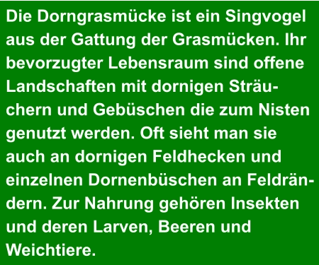 Die Dorngrasmücke ist ein Singvogel  aus der Gattung der Grasmücken. Ihr  bevorzugter Lebensraum sind offene  Landschaften mit dornigen Sträu- chern und Gebüschen die zum Nisten  genutzt werden. Oft sieht man sie  auch an dornigen Feldhecken und  einzelnen Dornenbüschen an Feldrän- dern. Zur Nahrung gehören Insekten  und deren Larven, Beeren und  Weichtiere.