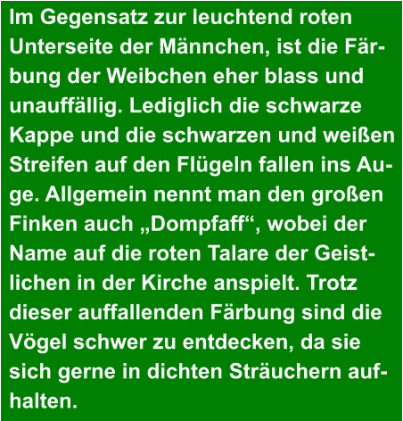 Im Gegensatz zur leuchtend roten  Unterseite der Männchen, ist die Fär- bung der Weibchen eher blass und  unauffällig. Lediglich die schwarze  Kappe und die schwarzen und weißen  Streifen auf den Flügeln fallen ins Au- ge. Allgemein nennt man den großen  Finken auch „Dompfaff“, wobei der  Name auf die roten Talare der Geist- lichen in der Kirche anspielt. Trotz  dieser auffallenden Färbung sind die  Vögel schwer zu entdecken, da sie  sich gerne in dichten Sträuchern auf- halten.