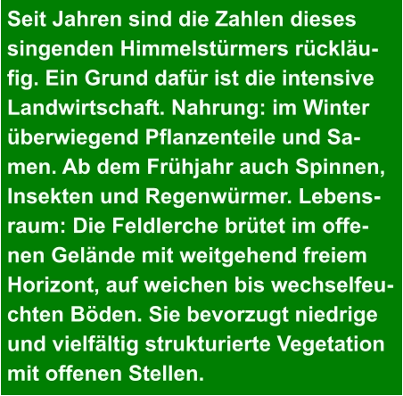 Seit Jahren sind die Zahlen dieses  singenden Himmelstürmers rückläu- fig. Ein Grund dafür ist die intensive  Landwirtschaft. Nahrung: im Winter  überwiegend Pflanzenteile und Sa- men. Ab dem Frühjahr auch Spinnen,  Insekten und Regenwürmer. Lebens- raum: Die Feldlerche brütet im offe- nen Gelände mit weitgehend freiem  Horizont, auf weichen bis wechselfeu- chten Böden. Sie bevorzugt niedrige  und vielfältig strukturierte Vegetation  mit offenen Stellen.