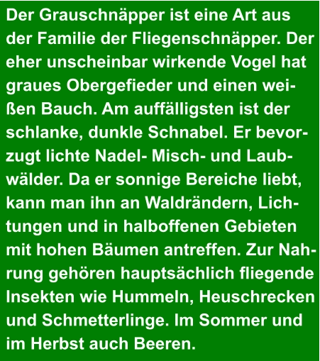 Der Grauschnäpper ist eine Art aus  der Familie der Fliegenschnäpper. Der  eher unscheinbar wirkende Vogel hat  graues Obergefieder und einen wei- ßen Bauch. Am auffälligsten ist der  schlanke, dunkle Schnabel. Er bevor- zugt lichte Nadel- Misch- und Laub- wälder. Da er sonnige Bereiche liebt,  kann man ihn an Waldrändern, Lich- tungen und in halboffenen Gebieten  mit hohen Bäumen antreffen. Zur Nah- rung gehören hauptsächlich fliegende  Insekten wie Hummeln, Heuschrecken und Schmetterlinge. Im Sommer und  im Herbst auch Beeren.