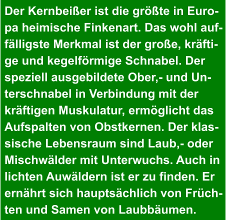 Der Kernbeißer ist die größte in Euro- pa heimische Finkenart. Das wohl auf- fälligste Merkmal ist der große, kräfti- ge und kegelförmige Schnabel. Der  speziell ausgebildete Ober,- und Un- terschnabel in Verbindung mit der  kräftigen Muskulatur, ermöglicht das  Aufspalten von Obstkernen. Der klas- sische Lebensraum sind Laub,- oder  Mischwälder mit Unterwuchs. Auch in  lichten Auwäldern ist er zu finden. Er  ernährt sich hauptsächlich von Früch- ten und Samen von Laubbäumen.