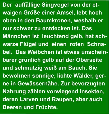 Der  auffällige Singvogel von der et- waigen Größe einer Amsel, lebt hoch  oben in den Baumkronen, weshalb er  nur schwer zu entdecken ist. Das  Männchen ist  leuchtend gelb, hat sch- warze Flügel und  einen  roten  Schna- bel.  Das Weibchen ist etwas unschein- barer grünlich gelb auf der Oberseite  und schmutzig weiß am Bauch. Sie  bewohnen sonnige, lichte Wälder, ger- ne in Gewässernähe. Zur bevorzugten  Nahrung zählen vorwiegend Insekten,   deren Larven und Raupen, aber auch  Beeren und Früchte.