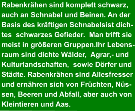 Rabenkrähen sind komplett schwarz,  auch an Schnabel und Beinen. An der  Basis des kräftigen Schnabelsist dich- tes  schwarzes Gefieder.  Man trifft sie  meist in größeren Gruppen.Ihr Lebens- raum sind dichte Wälder,  Agrar,- und  Kulturlandschaften,  sowie Dörfer und  Städte. Rabenkrähen sind Allesfresser  und ernähren sich von Früchten, Nüs- sen, Beeren und Abfall, aber auch von  Kleintieren und Aas.