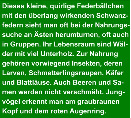 Dieses kleine, quirlige Federbällchen  mit den überlang wirkenden Schwanz- federn sieht man oft bei der Nahrungs- suche an Ästen herumturnen, oft auch  in Gruppen. Ihr Lebensraum sind Wäl- der mit viel Unterholz. Zur Nahrung  gehören vorwiegend Insekten, deren  Larven, Schmetterlingsraupen, Käfer  und Blattläuse. Auch Beeren und Sa- men werden nicht verschmäht. Jung- vögel erkennt man am graubraunen  Kopf und dem roten Augenring.