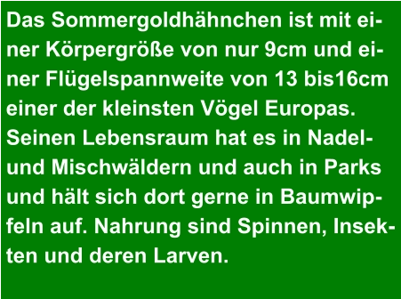 Das Sommergoldhähnchen ist mit ei- ner Körpergröße von nur 9cm und ei- ner Flügelspannweite von 13 bis16cm  einer der kleinsten Vögel Europas.  Seinen Lebensraum hat es in Nadel-  und Mischwäldern und auch in Parks  und hält sich dort gerne in Baumwip- feln auf. Nahrung sind Spinnen, Insek- ten und deren Larven.