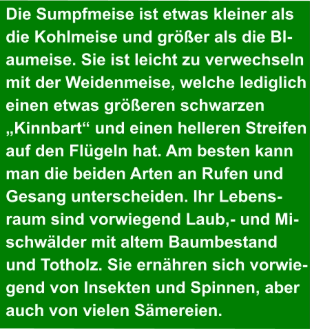 Die Sumpfmeise ist etwas kleiner als  die Kohlmeise und größer als die Bl- aumeise. Sie ist leicht zu verwechseln  mit der Weidenmeise, welche lediglich  einen etwas größeren schwarzen  „Kinnbart“ und einen helleren Streifen  auf den Flügeln hat. Am besten kann  man die beiden Arten an Rufen und  Gesang unterscheiden. Ihr Lebens- raum sind vorwiegend Laub,- und Mi- schwälder mit altem Baumbestand  und Totholz. Sie ernähren sich vorwie- gend von Insekten und Spinnen, aber  auch von vielen Sämereien.