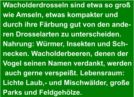 Wacholderdrosseln sind etwa so groß  wie Amseln, etwas kompakter und  durch ihre Färbung gut von den ande- ren Drosselarten zu unterscheiden.  Nahrung: Würmer, Insekten und Sch- necken. Wacholderbeeren, denen der  Vogel seinen Namen verdankt, werden  auch gerne verspeißt. Lebensraum:  Lichte Laub,- und Mischwälder, große  Parks und Feldgehölze.