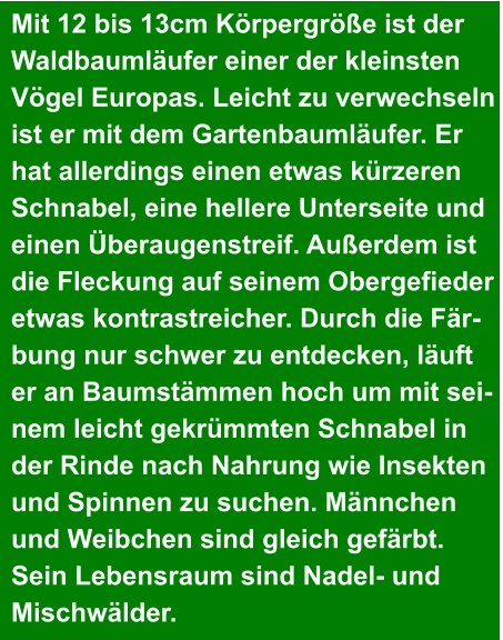 Mit 12 bis 13cm Körpergröße ist der  Waldbaumläufer einer der kleinsten  Vögel Europas. Leicht zu verwechseln  ist er mit dem Gartenbaumläufer. Er  hat allerdings einen etwas kürzeren  Schnabel, eine hellere Unterseite und  einen Überaugenstreif. Außerdem ist  die Fleckung auf seinem Obergefieder  etwas kontrastreicher. Durch die Fär- bung nur schwer zu entdecken, läuft  er an Baumstämmen hoch um mit sei- nem leicht gekrümmten Schnabel in  der Rinde nach Nahrung wie Insekten  und Spinnen zu suchen. Männchen  und Weibchen sind gleich gefärbt.  Sein Lebensraum sind Nadel- und  Mischwälder.