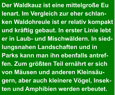 Der Waldkauz ist eine mittelgroße Eu lenart. Im Vergleich zur eher schlan- ken Waldohreule ist er relativ kompakt  und kräftig gebaut. In erster Linie lebt  er in Laub- und Mischwäldern. In sied- lungsnahen Landschaften und in  Parks kann man ihn ebenfalls antref- fen. Zum größten Teil ernährt er sich  von Mäusen und anderen Kleinsäu- gern, aber auch kleinere Vögel, Insek- ten und Amphibien werden erbeutet.