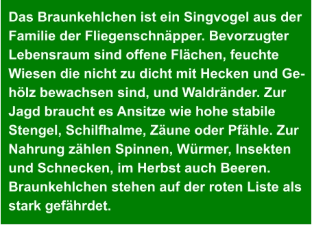 Das Braunkehlchen ist ein Singvogel aus der  Familie der Fliegenschnäpper. Bevorzugter  Lebensraum sind offene Flächen, feuchte  Wiesen die nicht zu dicht mit Hecken und Ge- hölz bewachsen sind, und Waldränder. Zur  Jagd braucht es Ansitze wie hohe stabile  Stengel, Schilfhalme, Zäune oder Pfähle. Zur  Nahrung zählen Spinnen, Würmer, Insekten  und Schnecken, im Herbst auch Beeren. Braunkehlchen stehen auf der roten Liste als  stark gefährdet.