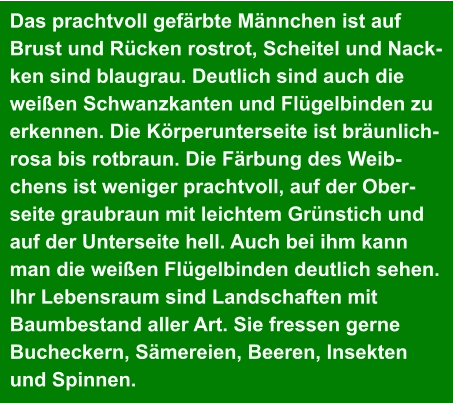 Das prachtvoll gefärbte Männchen ist auf  Brust und Rücken rostrot, Scheitel und Nack- ken sind blaugrau. Deutlich sind auch die  weißen Schwanzkanten und Flügelbinden zu  erkennen. Die Körperunterseite ist bräunlich- rosa bis rotbraun. Die Färbung des Weib- chens ist weniger prachtvoll, auf der Ober- seite graubraun mit leichtem Grünstich und  auf der Unterseite hell. Auch bei ihm kann  man die weißen Flügelbinden deutlich sehen.  Ihr Lebensraum sind Landschaften mit  Baumbestand aller Art. Sie fressen gerne  Bucheckern, Sämereien, Beeren, Insekten  und Spinnen.