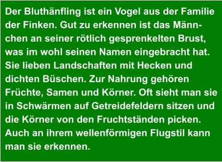 Der Bluthänfling ist ein Vogel aus der Familie  der Finken. Gut zu erkennen ist das Männ- chen an seiner rötlich gesprenkelten Brust,  was im wohl seinen Namen eingebracht hat.  Sie lieben Landschaften mit Hecken und  dichten Büschen. Zur Nahrung gehören  Früchte, Samen und Körner. Oft sieht man sie  in Schwärmen auf Getreidefeldern sitzen und  die Körner von den Fruchtständen picken.  Auch an ihrem wellenförmigen Flugstil kann  man sie erkennen.