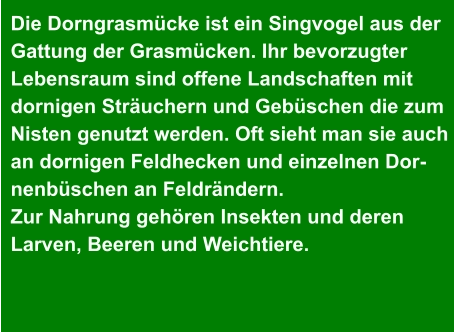 Die Dorngrasmücke ist ein Singvogel aus der  Gattung der Grasmücken. Ihr bevorzugter  Lebensraum sind offene Landschaften mit  dornigen Sträuchern und Gebüschen die zum  Nisten genutzt werden. Oft sieht man sie auch  an dornigen Feldhecken und einzelnen Dor- nenbüschen an Feldrändern.  Zur Nahrung gehören Insekten und deren  Larven, Beeren und Weichtiere.