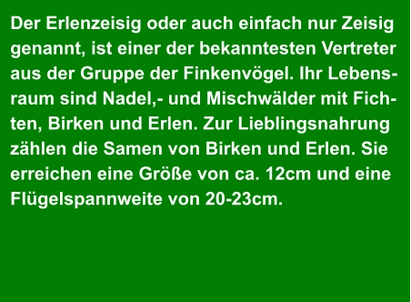 Der Erlenzeisig oder auch einfach nur Zeisig  genannt, ist einer der bekanntesten Vertreter  aus der Gruppe der Finkenvögel. Ihr Lebens- raum sind Nadel,- und Mischwälder mit Fich- ten, Birken und Erlen. Zur Lieblingsnahrung  zählen die Samen von Birken und Erlen. Sie  erreichen eine Größe von ca. 12cm und eine  Flügelspannweite von 20-23cm.