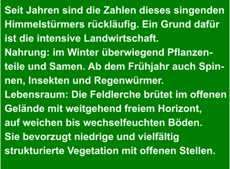 Seit Jahren sind die Zahlen dieses singenden Himmelstürmers rückläufig. Ein Grund dafür  ist die intensive Landwirtschaft. Nahrung: im Winter überwiegend Pflanzen- teile und Samen. Ab dem Frühjahr auch Spin- nen, Insekten und Regenwürmer. Lebensraum: Die Feldlerche brütet im offenen  Gelände mit weitgehend freiem Horizont,  auf weichen bis wechselfeuchten Böden. Sie bevorzugt niedrige und vielfältig  strukturierte Vegetation mit offenen Stellen.