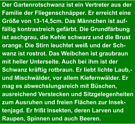 Der Gartenrotschwanz ist ein Vertreter aus der Familie der Fliegenschnäpper. Er erreicht eine Größe von 13-14,5cm. Das Männchen ist auf- fällig kontrastreich gefärbt. Die Grundfärbung  ist aschgrau, die Kehle schwarz und die Brust  orange. Die Stirn leuchtet weiß und der Sch- wanz ist rostrot. Das Weibchen ist graubraun  mit heller Unterseite. Auch bei ihm ist der  Schwanz kräftig rotbraun. Er liebt lichte Laub,- und Mischwälder, vor allem Kiefernwälder. Er mag es abwechslungsreich mit Büschen,  ausreichend Verstecken und Sitzgelegenheiten zum Ausruhen und freien Flächen zur Insek- tenjagd. Er frißt Insekten, deren Larven und  Raupen, Spinnen und auch Beeren.