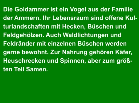 Die Goldammer ist ein Vogel aus der Familie  der Ammern. Ihr Lebensraum sind offene Kul- turlandschaften mit Hecken, Büschen und  Feldgehölzen. Auch Waldlichtungen und  Feldränder mit einzelnen Büschen werden  gerne bewohnt. Zur Nahrung gehören Käfer,  Heuschrecken und Spinnen, aber zum größ- ten Teil Samen.