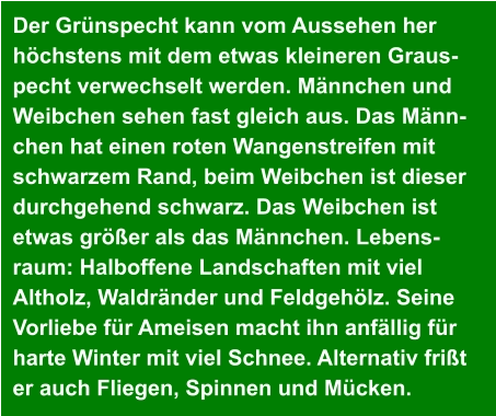 Der Grünspecht kann vom Aussehen her  höchstens mit dem etwas kleineren Graus- pecht verwechselt werden. Männchen und  Weibchen sehen fast gleich aus. Das Männ- chen hat einen roten Wangenstreifen mit  schwarzem Rand, beim Weibchen ist dieser  durchgehend schwarz. Das Weibchen ist  etwas größer als das Männchen. Lebens- raum: Halboffene Landschaften mit viel  Altholz, Waldränder und Feldgehölz. Seine  Vorliebe für Ameisen macht ihn anfällig für harte Winter mit viel Schnee. Alternativ frißt  er auch Fliegen, Spinnen und Mücken.