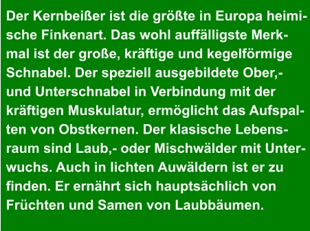 Der Kernbeißer ist die größte in Europa heimi- sche Finkenart. Das wohl auffälligste Merk- mal ist der große, kräftige und kegelförmige  Schnabel. Der speziell ausgebildete Ober,-  und Unterschnabel in Verbindung mit der  kräftigen Muskulatur, ermöglicht das Aufspal- ten von Obstkernen. Der klasische Lebens- raum sind Laub,- oder Mischwälder mit Unter- wuchs. Auch in lichten Auwäldern ist er zu  finden. Er ernährt sich hauptsächlich von  Früchten und Samen von Laubbäumen.