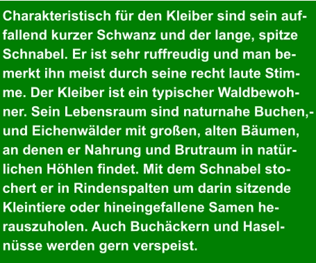 Charakteristisch für den Kleiber sind sein auf- fallend kurzer Schwanz und der lange, spitze  Schnabel. Er ist sehr ruffreudig und man be- merkt ihn meist durch seine recht laute Stim- me. Der Kleiber ist ein typischer Waldbewoh- ner. Sein Lebensraum sind naturnahe Buchen,- und Eichenwälder mit großen, alten Bäumen,  an denen er Nahrung und Brutraum in natür- lichen Höhlen findet. Mit dem Schnabel sto- chert er in Rindenspalten um darin sitzende  Kleintiere oder hineingefallene Samen he- rauszuholen. Auch Buchäckern und Hasel- nüsse werden gern verspeist.