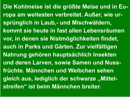 Die Kohlmeise ist die größte Meise und in Eu- ropa am weitesten verbreitet. Außer, wie ur- sprünglich in Laub,- und Mischwäldern,  kommt sie heute in fast allen Lebensräumen  vor, in denen sie Nistmöglichkeiten findet,  auch in Parks und Gärten. Zur vielfältigen  Nahrung gehören hauptsächlich Insekten  und deren Larven, sowie Samen und Nuss- früchte. Männchen und Weibchen sehen  gleich aus, lediglich der schwarze „Mittel- streifen“ ist beim Männchen breiter.