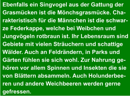 Ebenfalls ein Singvogel aus der Gattung der  Grasmücken ist die Mönchsgrasmücke. Cha- rakteristisch für die Männchen ist die schwar- ze Federkappe, welche bei Weibchen und  Jungvögeln rotbraun ist. Ihr Lebensraum sind  Gebiete mit vielen Sträuchern und schattige  Wälder. Auch an Feldrändern, in Parks und  Gärten fühlen sie sich wohl. Zur Nahrung ge- hören vor allem Spinnen und Insekten die sie  von Blättern absammeln. Auch Holunderbee- ren und andere Weichbeeren werden gerne  gefressen.