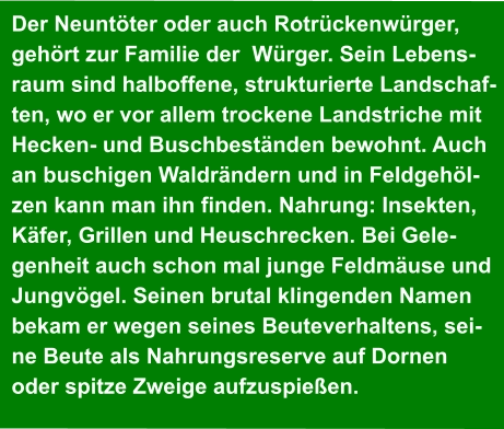 Der Neuntöter oder auch Rotrückenwürger,  gehört zur Familie der  Würger. Sein Lebens- raum sind halboffene, strukturierte Landschaf- ten, wo er vor allem trockene Landstriche mit  Hecken- und Buschbeständen bewohnt. Auch  an buschigen Waldrändern und in Feldgehöl- zen kann man ihn finden. Nahrung: Insekten,  Käfer, Grillen und Heuschrecken. Bei Gele- genheit auch schon mal junge Feldmäuse und  Jungvögel. Seinen brutal klingenden Namen  bekam er wegen seines Beuteverhaltens, sei- ne Beute als Nahrungsreserve auf Dornen  oder spitze Zweige aufzuspießen.