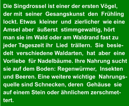 Die Singdrossel ist einer der ersten Vögel,  der mit  seiner  Gesangskunst  den  Frühling  lockt. Etwas  kleiner  und  zierlicher  wie eine  Amsel aber  äußerst  stimmgewaltig, hört   man sie im Wald oder am Waldrand fast zu  jeder Tageszeit ihr  Lied  trällern.  Sie  besie- delt  verschiedene Waldarten,  hat  aber  eine   Vorliebe  für Nadelbäume. Ihre Nahrung sucht  sie auf dem Boden: Regenwürmer,  Insekten  und Beeren. Eine weitere wichtige  Nahrungs- quelle sind Schnecken, deren  Gehäuse  sie   auf einem Stein oder ähnlichem zerschmet- tert.