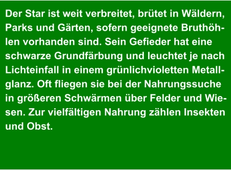 Der Star ist weit verbreitet, brütet in Wäldern, Parks und Gärten, sofern geeignete Bruthöh- len vorhanden sind. Sein Gefieder hat eine  schwarze Grundfärbung und leuchtet je nach  Lichteinfall in einem grünlichvioletten Metall- glanz. Oft fliegen sie bei der Nahrungssuche  in größeren Schwärmen über Felder und Wie- sen. Zur vielfältigen Nahrung zählen Insekten  und Obst.