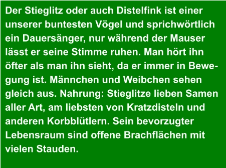 Der Stieglitz oder auch Distelfink ist einer  unserer buntesten Vögel und sprichwörtlich  ein Dauersänger, nur während der Mauser  lässt er seine Stimme ruhen. Man hört ihn  öfter als man ihn sieht, da er immer in Bewe- gung ist. Männchen und Weibchen sehen  gleich aus. Nahrung: Stieglitze lieben Samen  aller Art, am liebsten von Kratzdisteln und  anderen Korbblütlern. Sein bevorzugter  Lebensraum sind offene Brachflächen mit  vielen Stauden.