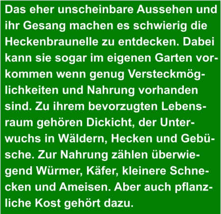 Das eher unscheinbare Aussehen und ihr Gesang machen es schwierig die Heckenbraunelle zu entdecken. Dabei kann sie sogar im eigenen Garten vor- kommen wenn genug Versteckmög- lichkeiten und Nahrung vorhanden sind. Zu ihrem bevorzugten Lebens- raum gehören Dickicht, der Unter- wuchs in Wäldern, Hecken und Gebü- sche. Zur Nahrung zählen überwie- gend Würmer, Käfer, kleinere Schne- cken und Ameisen. Aber auch pflanz- liche Kost gehört dazu.