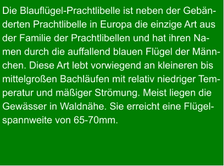 Die Blauflügel-Prachtlibelle ist neben der Gebän- derten Prachtlibelle in Europa die einzige Art aus der Familie der Prachtlibellen und hat ihren Na- men durch die auffallend blauen Flügel der Männ- chen. Diese Art lebt vorwiegend an kleineren bis mittelgroßen Bachläufen mit relativ niedriger Tem- peratur und mäßiger Strömung. Meist liegen die  Gewässer in Waldnähe. Sie erreicht eine Flügel- spannweite von 65-70mm.