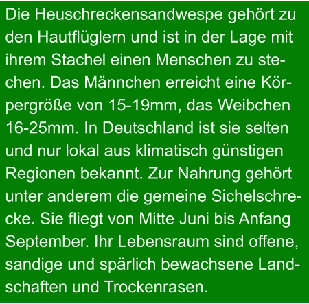 Die Heuschreckensandwespe gehört zu den Hautflüglern und ist in der Lage mit ihrem Stachel einen Menschen zu ste- chen. Das Männchen erreicht eine Kör- pergröße von 15-19mm, das Weibchen 16-25mm. In Deutschland ist sie selten und nur lokal aus klimatisch günstigen Regionen bekannt. Zur Nahrung gehört unter anderem die gemeine Sichelschre- cke. Sie fliegt von Mitte Juni bis Anfang September. Ihr Lebensraum sind offene, sandige und spärlich bewachsene Land- schaften und Trockenrasen.