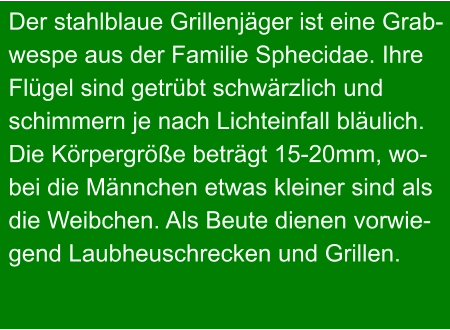 Der stahlblaue Grillenjäger ist eine Grab- wespe aus der Familie Sphecidae. Ihre Flügel sind getrübt schwärzlich und schimmern je nach Lichteinfall bläulich. Die Körpergröße beträgt 15-20mm, wo- bei die Männchen etwas kleiner sind als die Weibchen. Als Beute dienen vorwie- gend Laubheuschrecken und Grillen.