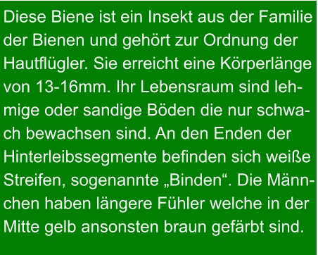 Diese Biene ist ein Insekt aus der Familie  der Bienen und gehört zur Ordnung der Hautflügler. Sie erreicht eine Körperlänge von 13-16mm. Ihr Lebensraum sind leh- mige oder sandige Böden die nur schwa- ch bewachsen sind. An den Enden der Hinterleibssegmente befinden sich weiße Streifen, sogenannte „Binden“. Die Männ- chen haben längere Fühler welche in der Mitte gelb ansonsten braun gefärbt sind.