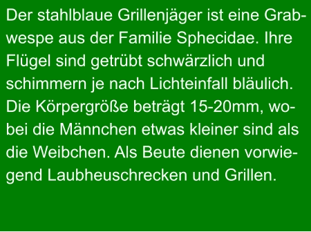 Der stahlblaue Grillenjäger ist eine Grab- wespe aus der Familie Sphecidae. Ihre Flügel sind getrübt schwärzlich und schimmern je nach Lichteinfall bläulich. Die Körpergröße beträgt 15-20mm, wo- bei die Männchen etwas kleiner sind als die Weibchen. Als Beute dienen vorwie- gend Laubheuschrecken und Grillen.