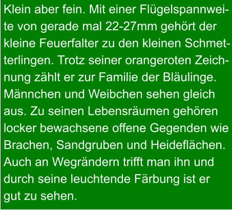 Klein aber fein. Mit einer Flügelspannwei- te von gerade mal 22-27mm gehört der  kleine Feuerfalter zu den kleinen Schmet- terlingen. Trotz seiner orangeroten Zeich- nung zählt er zur Familie der Bläulinge. Männchen und Weibchen sehen gleich aus. Zu seinen Lebensräumen gehören locker bewachsene offene Gegenden wie Brachen, Sandgruben und Heideflächen. Auch an Wegrändern trifft man ihn und durch seine leuchtende Färbung ist er gut zu sehen.