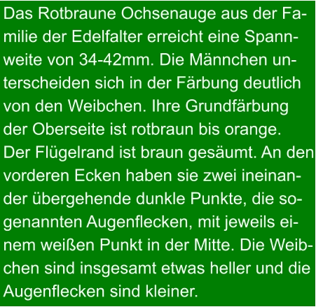 Das Rotbraune Ochsenauge aus der Fa- milie der Edelfalter erreicht eine Spann- weite von 34-42mm. Die Männchen un- terscheiden sich in der Färbung deutlich von den Weibchen. Ihre Grundfärbung der Oberseite ist rotbraun bis orange.  Der Flügelrand ist braun gesäumt. An den vorderen Ecken haben sie zwei ineinan- der übergehende dunkle Punkte, die so- genannten Augenflecken, mit jeweils ei- nem weißen Punkt in der Mitte. Die Weib- chen sind insgesamt etwas heller und die Augenflecken sind kleiner.