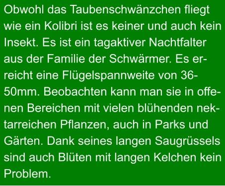 Obwohl das Taubenschwänzchen fliegt  wie ein Kolibri ist es keiner und auch kein  Insekt. Es ist ein tagaktiver Nachtfalter aus der Familie der Schwärmer. Es er- reicht eine Flügelspannweite von 36- 50mm. Beobachten kann man sie in offe- nen Bereichen mit vielen blühenden nek- tarreichen Pflanzen, auch in Parks und Gärten. Dank seines langen Saugrüssels sind auch Blüten mit langen Kelchen kein Problem.