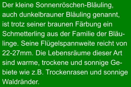 Der kleine Sonnenröschen-Bläuling, auch dunkelbrauner Bläuling genannt, ist trotz seiner braunen Färbung ein Schmetterling aus der Familie der Bläu- linge. Seine Flügelspannweite reicht von 22-27mm. Die Lebensräume dieser Art sind warme, trockene und sonnige Ge- biete wie z.B. Trockenrasen und sonnige Waldränder.