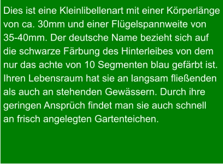 Dies ist eine Kleinlibellenart mit einer Körperlänge von ca. 30mm und einer Flügelspannweite von 35-40mm. Der deutsche Name bezieht sich auf die schwarze Färbung des Hinterleibes von dem nur das achte von 10 Segmenten blau gefärbt ist. Ihren Lebensraum hat sie an langsam fließenden als auch an stehenden Gewässern. Durch ihre geringen Ansprüch findet man sie auch schnell an frisch angelegten Gartenteichen.