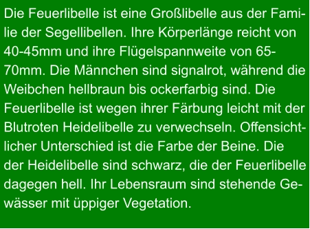 Die Feuerlibelle ist eine Großlibelle aus der Fami- lie der Segellibellen. Ihre Körperlänge reicht von 40-45mm und ihre Flügelspannweite von 65- 70mm. Die Männchen sind signalrot, während die Weibchen hellbraun bis ockerfarbig sind. Die  Feuerlibelle ist wegen ihrer Färbung leicht mit der Blutroten Heidelibelle zu verwechseln. Offensicht- licher Unterschied ist die Farbe der Beine. Die  der Heidelibelle sind schwarz, die der Feuerlibelle dagegen hell. Ihr Lebensraum sind stehende Ge- wässer mit üppiger Vegetation.