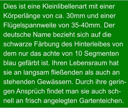 Dies ist eine Kleinlibellenart mit einer  Körperlänge von ca. 30mm und einer  Flügelspannweite von 35-40mm. Der   deutsche Name bezieht sich auf die  schwarze Färbung des Hinterleibes von  dem nur das achte von 10 Segmenten  blau gefärbt ist. Ihren Lebensraum hat  sie an langsam fließenden als auch an  stehenden Gewässern. Durch ihre gerin- gen Ansprüch findet man sie auch sch- nell an frisch angelegten Gartenteichen.