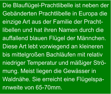 Die Blauflügel-Prachtlibelle ist neben der  Gebänderten Prachtlibelle in Europa die  einzige Art aus der Familie der Pracht- libellen und hat ihren Namen durch die  auffallend blauen Flügel der Männchen.  Diese Art lebt vorwiegend an kleineren  bis mittelgroßen Bachläufen mit relativ  niedriger Temperatur und mäßiger Strö- mung. Meist liegen die Gewässer in  Waldnähe. Sie erreicht eine Flügelspa- nnweite von 65-70mm.