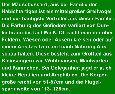 Der Mäusebussard, aus der Familie der  Habichtartigen ist ein mittelgroßer Greifvogel und der häufigste Vertreter aus dieser Familie. Die Färbung des Gefieders variiert von Dun- kelbraun bis fast Weiß. Oft sieht man ihn über Feldern, Wiesen oder Äckern kreisen oder auf  einem Ansitz sitzen und nach Nahrung Aus- schau halten. Diese besteht zum Großteil aus Kleinsäugern wie Wühlmäusen, Maulwürfen  und Kaninchen. Bei Gelegenheit jagd er auch kleine Reptilien und Amphibien. Die Körper- größe reicht von 51-57cm und die Flügel- spannweite von 113- 128cm.