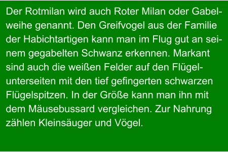 Der Rotmilan wird auch Roter Milan oder Gabel- weihe genannt. Den Greifvogel aus der Familie der Habichtartigen kann man im Flug gut an sei- nem gegabelten Schwanz erkennen. Markant  sind auch die weißen Felder auf den Flügel- unterseiten mit den tief gefingerten schwarzen Flügelspitzen. In der Größe kann man ihn mit  dem Mäusebussard vergleichen. Zur Nahrung zählen Kleinsäuger und Vögel.