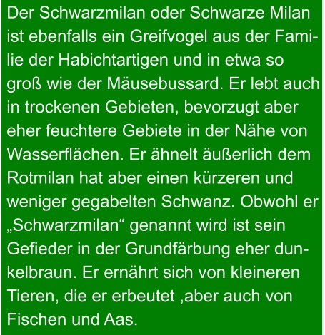 Der Schwarzmilan oder Schwarze Milan  ist ebenfalls ein Greifvogel aus der Fami- lie der Habichtartigen und in etwa so  groß wie der Mäusebussard. Er lebt auch  in trockenen Gebieten, bevorzugt aber  eher feuchtere Gebiete in der Nähe von  Wasserflächen. Er ähnelt äußerlich dem  Rotmilan hat aber einen kürzeren und  weniger gegabelten Schwanz. Obwohl er  „Schwarzmilan“ genannt wird ist sein  Gefieder in der Grundfärbung eher dun- kelbraun. Er ernährt sich von kleineren  Tieren, die er erbeutet ,aber auch von Fischen und Aas.